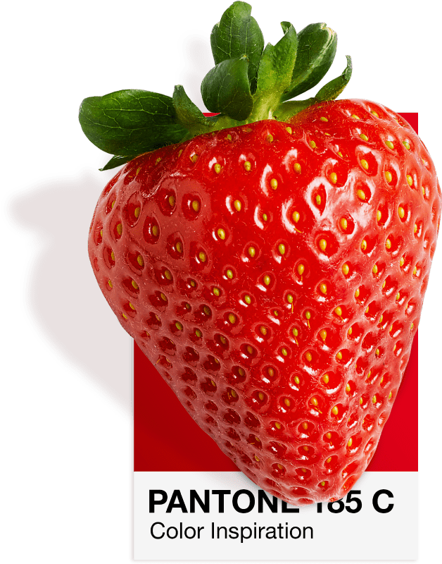 Jagoda na Pantone 185 C kartička so boja, crvenata boja na Vatra